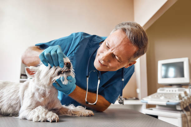 Best Emergency Root Canal Treatment in Newcomerstown, OH
